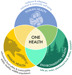 logo one health